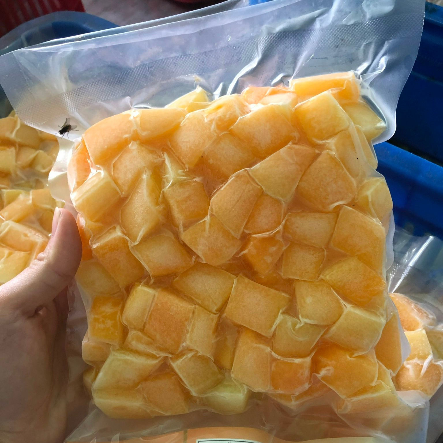 VIETNAMESE IQF FROZEN PAPAYA FOR EXPORT – NATURAL FROZEN TROPICAL FRUIT, LOW MOQ & BULK WHOLESALE SUPPLY
