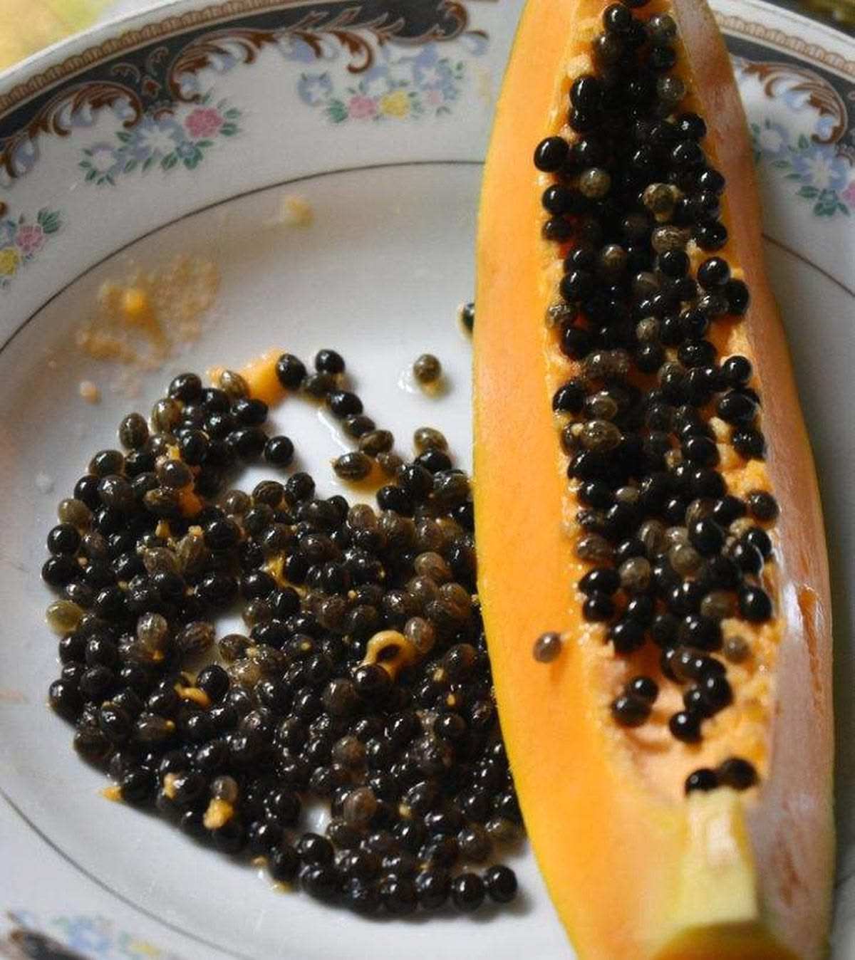 PREMIUM VIETNAMESE NATURAL DRIED PAPAYA SEEDS FOR EXPORT – BULK AGRICULTURAL AND INDUSTRIAL SUPPLY 2