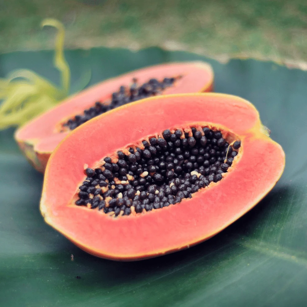 PREMIUM VIETNAMESE RED-FLESH PAPAYA PN 711 FOR EXPORT – FRESH TROPICAL FRUIT WHOLESALE SUPPLY 4
