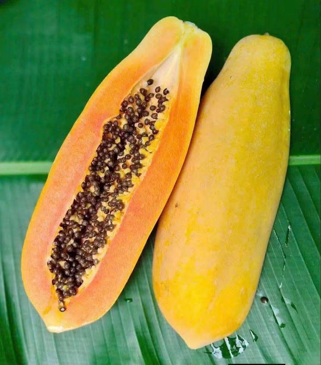 PREMIUM VIETNAMESE GOLDEN KING YELLOW-SKIN PAPAYA FOR EXPORT – FRESH TROPICAL FRUIT WHOLESALE SUPPLY
