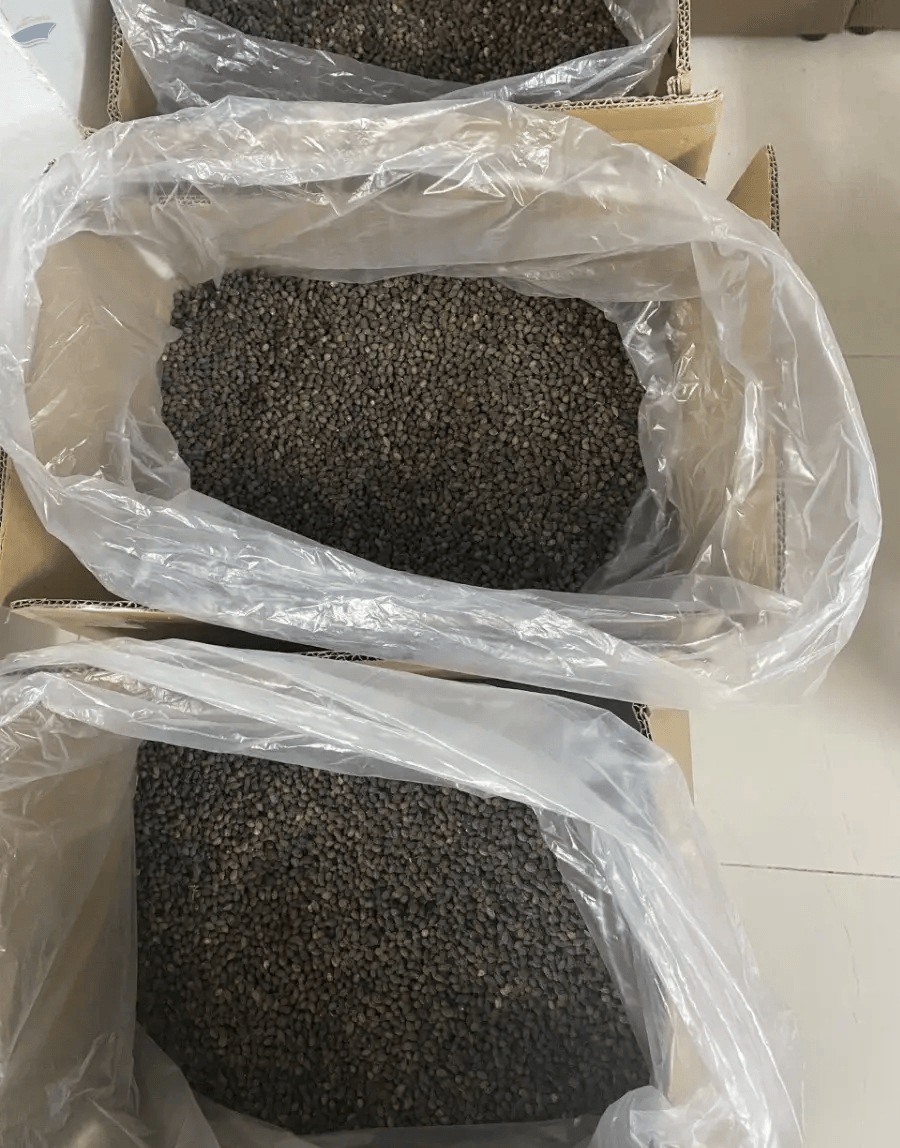 AFFORDABLE VIETNAMESE DRIED PAPAYA FOR EXPORT – WHOLESALE TROPICAL FRUIT SNACK SUPPLY 3