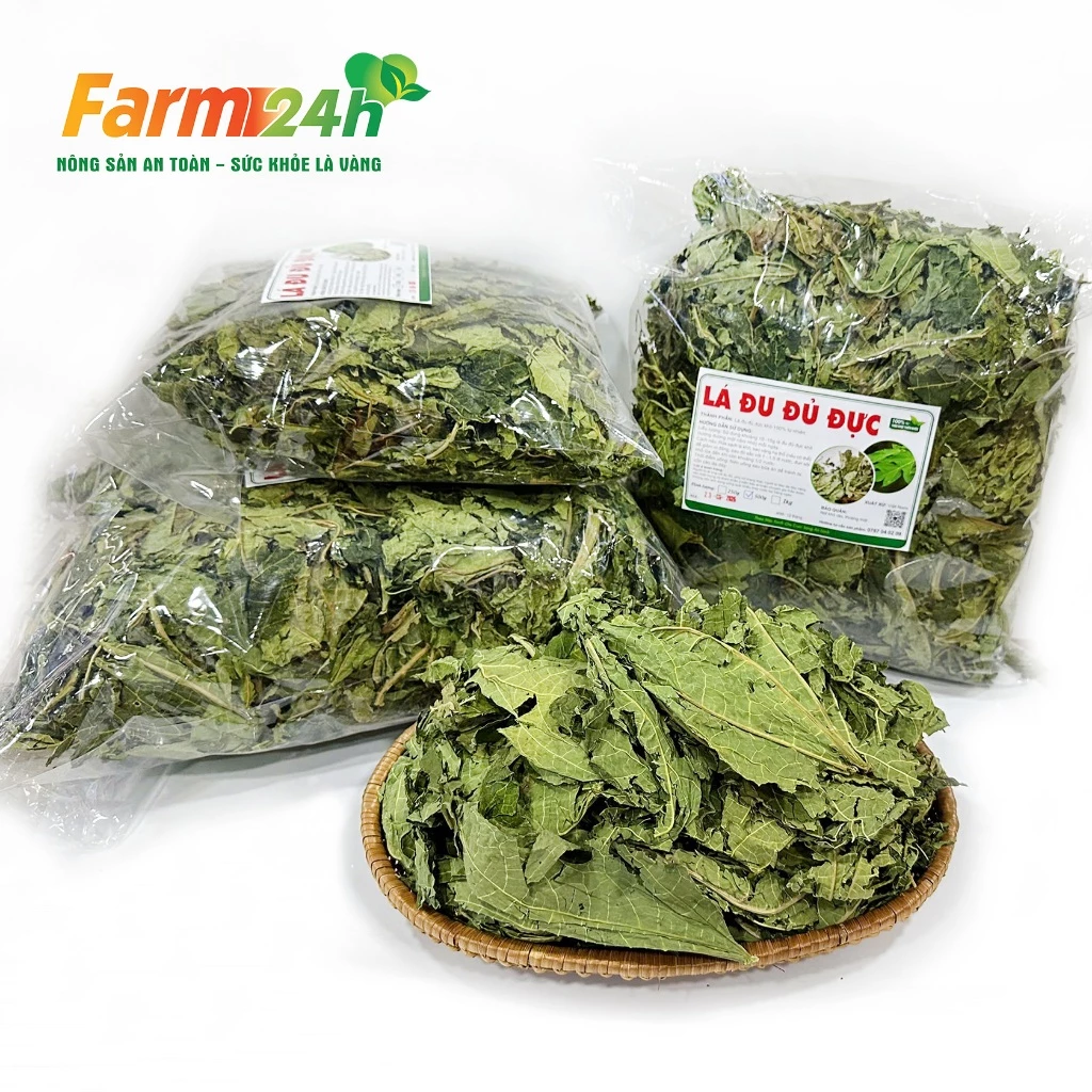PREMIUM VIETNAMESE DRIED MALE PAPAYA LEAVES FOR EXPORT – PURE BOTANICAL RAW MATERIAL, GRADE 1 2