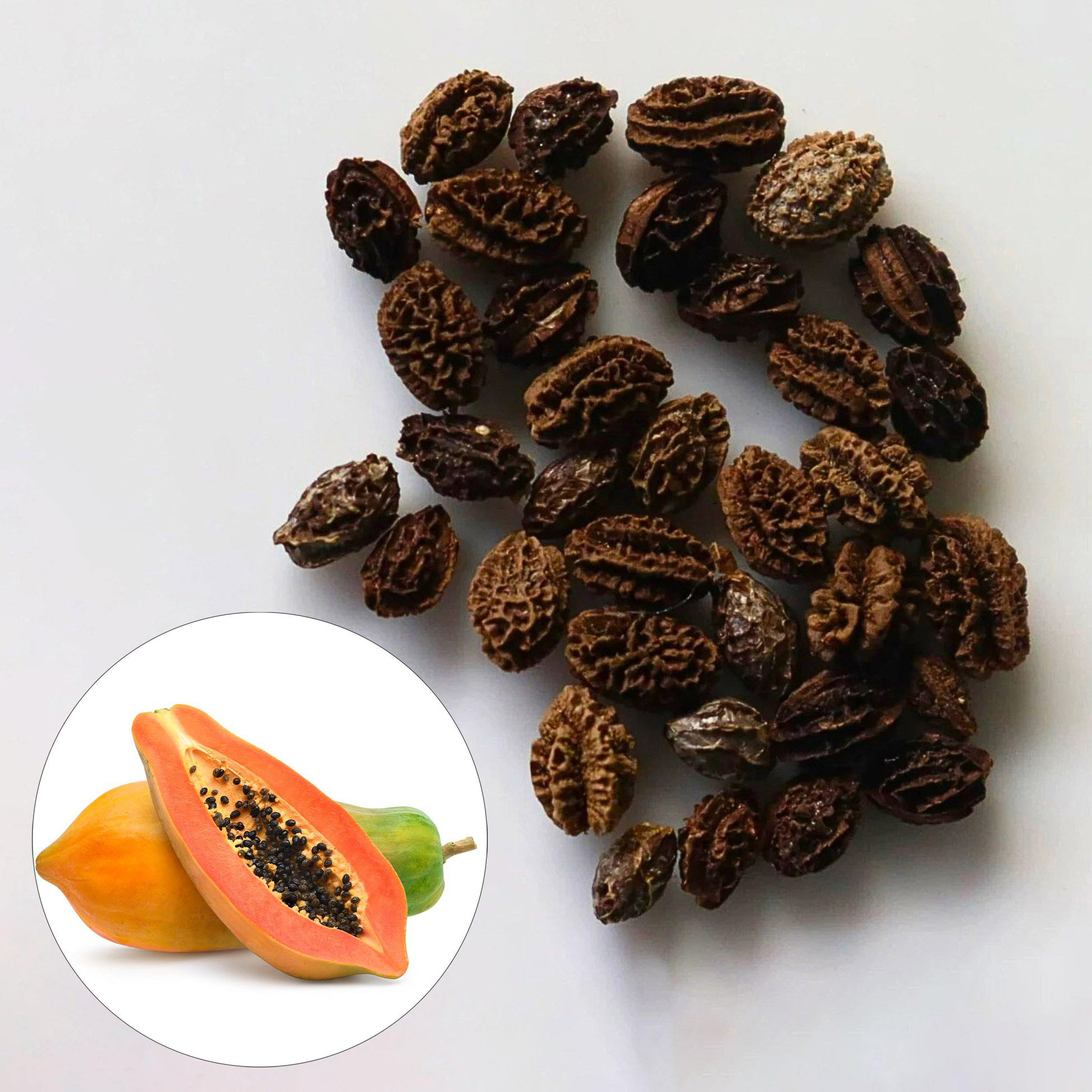PREMIUM VIETNAMESE DRIED RED PAPAYA SEEDS FOR EXPORT – BULK WHOLESALE SUPPLY