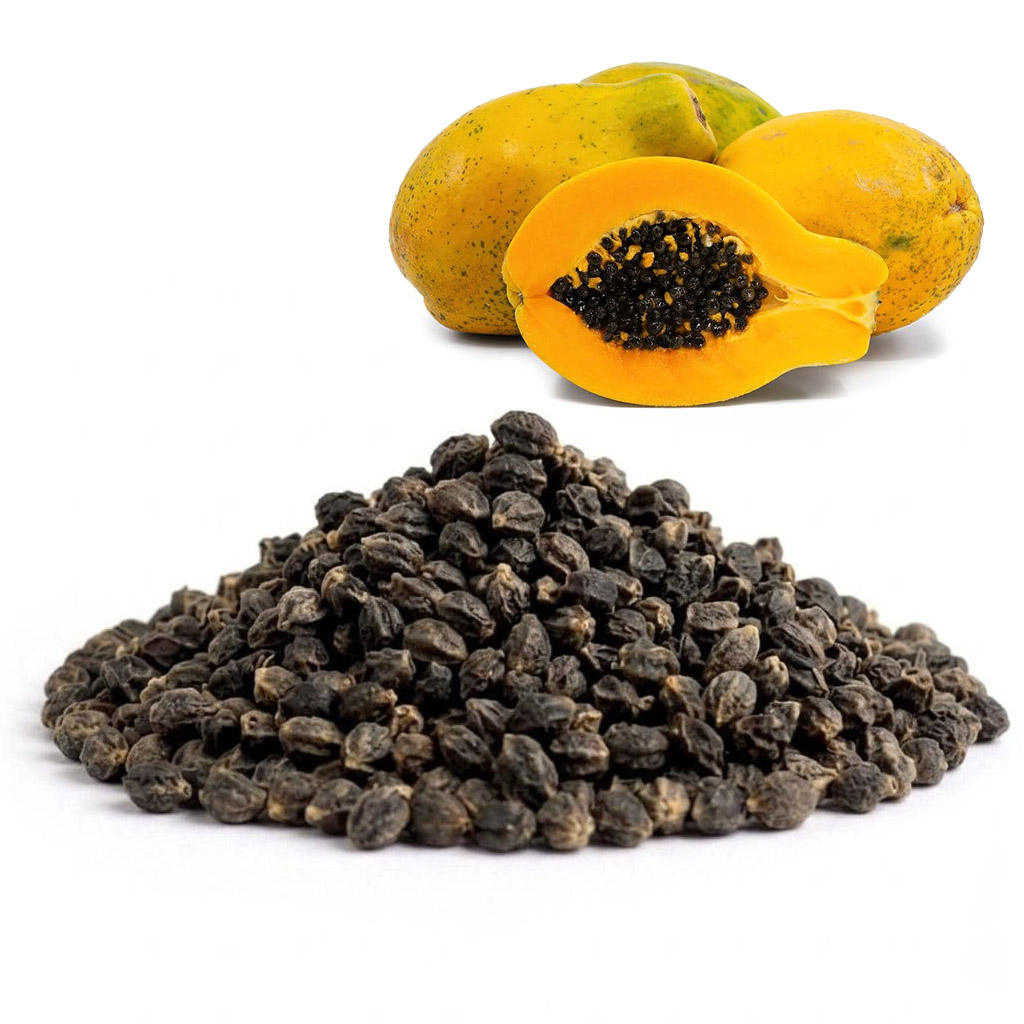 PREMIUM VIETNAMESE DRIED RED PAPAYA SEEDS FOR EXPORT – BULK WHOLESALE SUPPLY 3