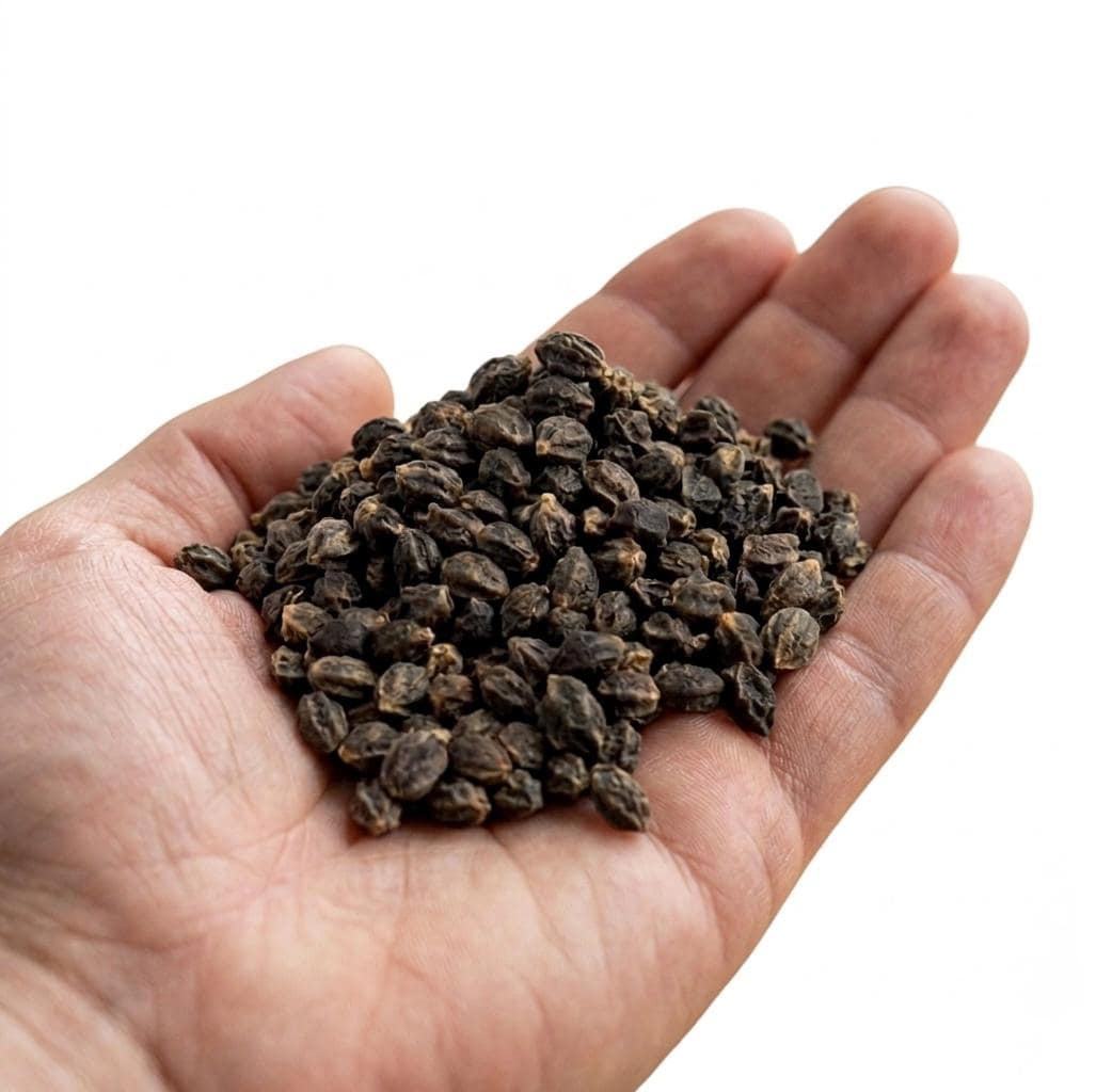 PREMIUM VIETNAMESE DRIED RED PAPAYA SEEDS FOR EXPORT – BULK WHOLESALE SUPPLY 4