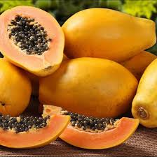 PREMIUM VIETNAMESE DAI NONG PAPAYA FOR EXPORT – FRESH TROPICAL FRUIT WHOLESALE SUPPLY