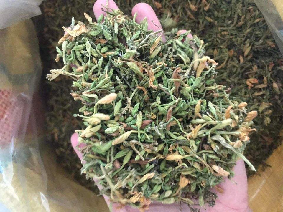 VIETNAMESE DRIED MALE PAPAYA FLOWERS FOR EXPORT – HERBAL RAW MATERIAL WHOLESALE SUPPLY 2