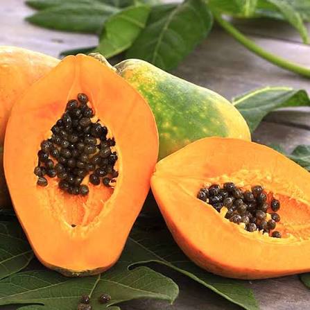 PREMIUM VIETNAMESE LONG AN YELLOW-FLESH PAPAYA FOR EXPORT – FRESH TROPICAL FRUIT WHOLESALE SUPPLY