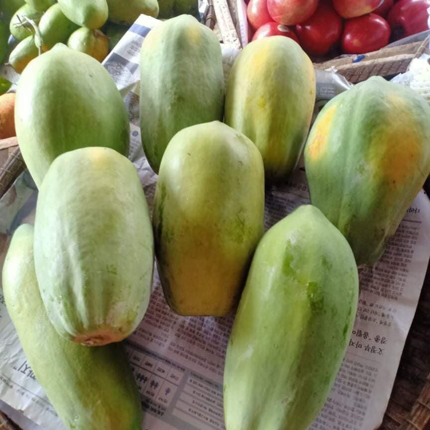 PREMIUM VIETNAMESE LONG AN YELLOW-FLESH PAPAYA FOR EXPORT – FRESH TROPICAL FRUIT WHOLESALE SUPPLY 4