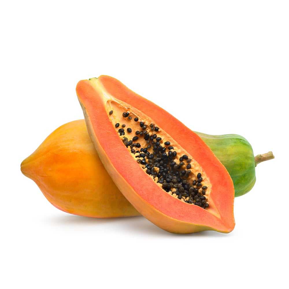 PREMIUM VIETNAMESE FRESH GREEN PAPAYA FOR EXPORT – CUSTOM GRADING AND WHOLESALE PACKAGING