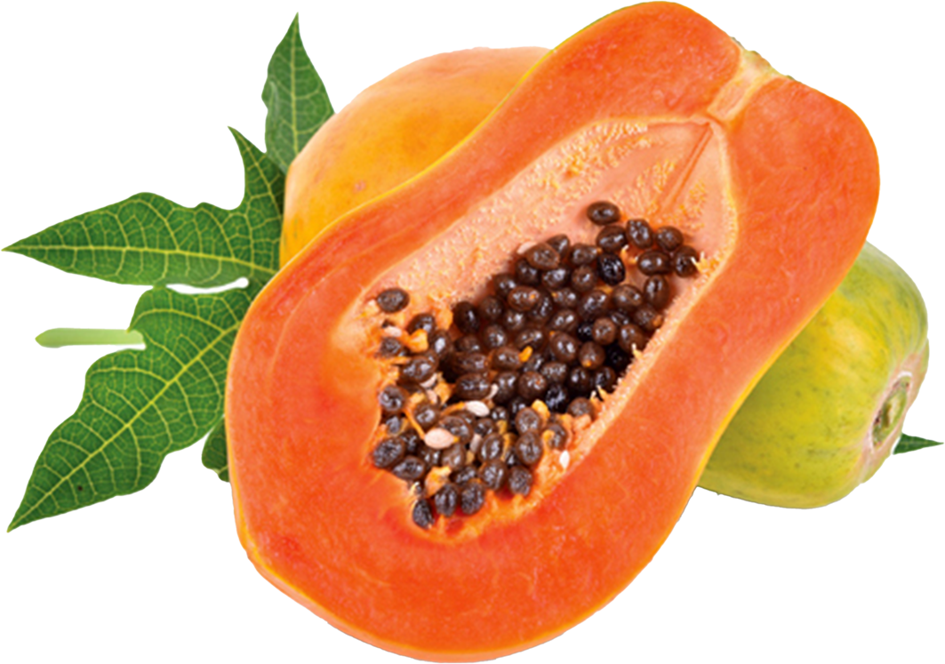 PREMIUM VIETNAMESE FRESH GREEN PAPAYA FOR EXPORT – CUSTOM GRADING AND WHOLESALE PACKAGING 3