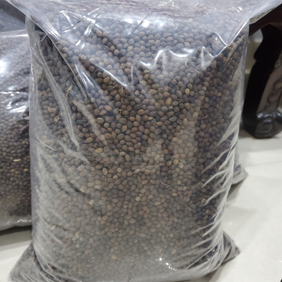 VIETNAMESE DRIED PAPAYA SEEDS FOR EXPORT – PEPPERY FLAVOR, WHOLESALE BOTANICAL INGREDIENT