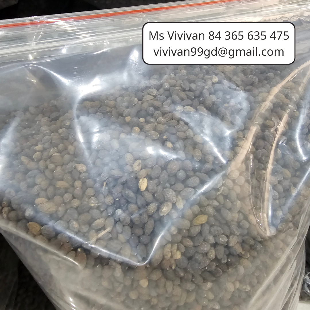 VIETNAMESE DRIED PAPAYA SEEDS FOR EXPORT – PEPPERY FLAVOR, WHOLESALE BOTANICAL INGREDIENT 2