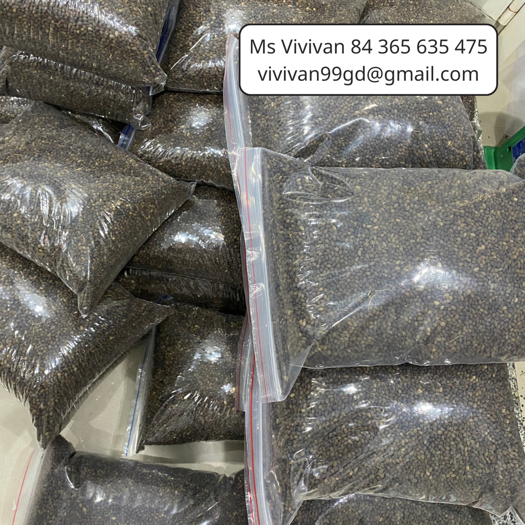 VIETNAMESE DRIED PAPAYA SEEDS FOR EXPORT – PEPPERY FLAVOR, WHOLESALE BOTANICAL INGREDIENT 4