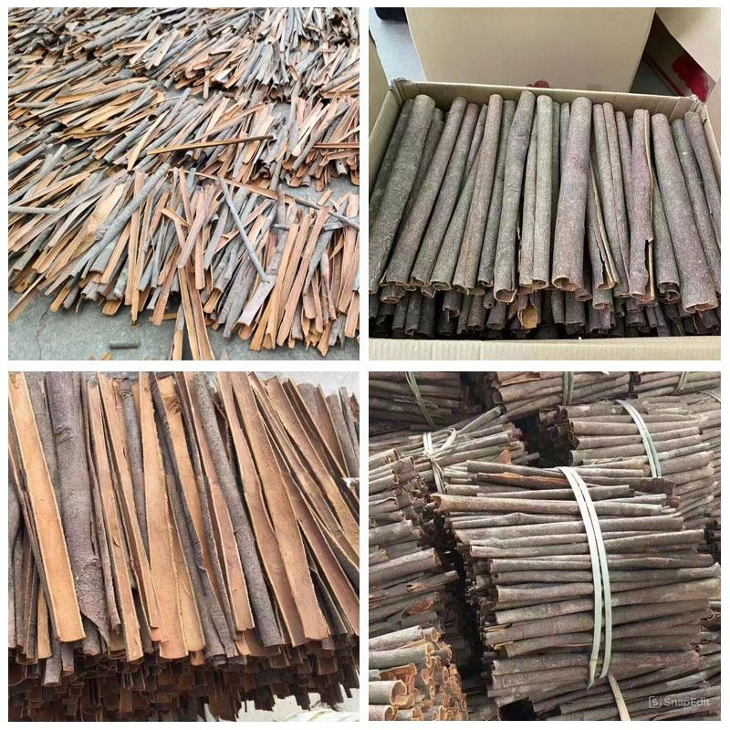 VIETNAMESE NATURAL SPLIT CASSIA CINNAMON FOR EXPORT – COARSE-PROCESSED SPICE AND HERBAL RAW MATERIAL 2