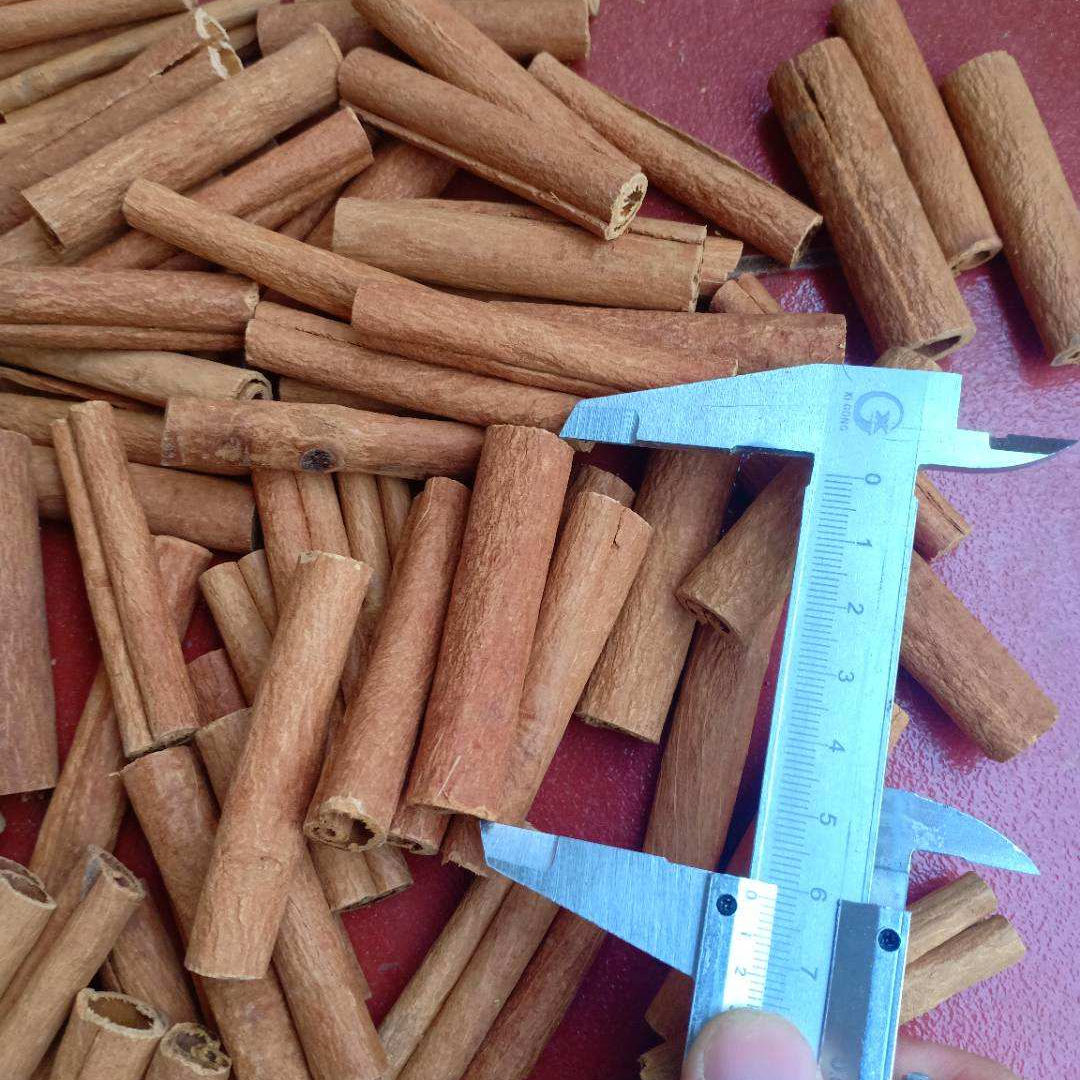 PREMIUM VIETNAMESE CASSIA CINNAMON FINGER STICKS FOR EXPORT – HIGH-QUALITY WHOLESALE SPICE SUPPLY 3