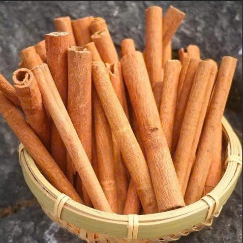 VIETNAMESE CASSIA CINNAMON ROLLED BARK STICKS FOR EXPORT – WHOLESALE SPICE SUPPLIER