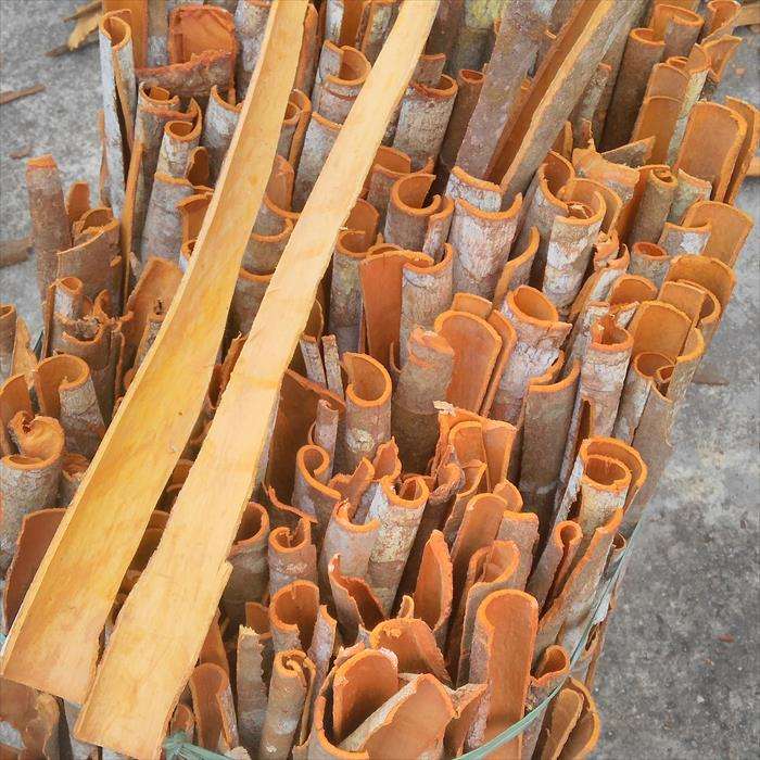 VIET SEAFARM VIETNAMESE DRIED CASSIA CINNAMON SPLIT STICKS 4 INCH FOR EXPORT – AD-PROCESSED WHOLESALE SPICE RAW MATERIAL 3