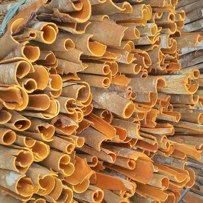 VIET SEAFARM VIETNAMESE DRIED CASSIA CINNAMON SPLIT STICKS 4 INCH FOR EXPORT – AD-PROCESSED WHOLESALE SPICE RAW MATERIAL 4