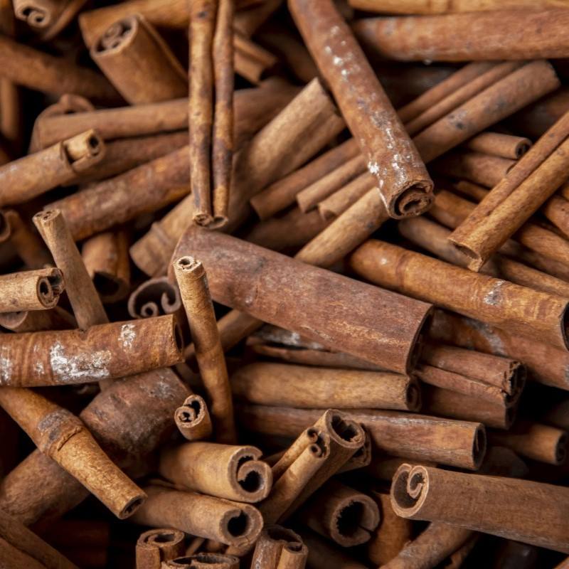 VIETNAMESE FARM-SOURCED DRIED CASSIA CINNAMON ROLLED STICKS FOR EXPORT – WHOLESALE SPICE SUPPLY 4