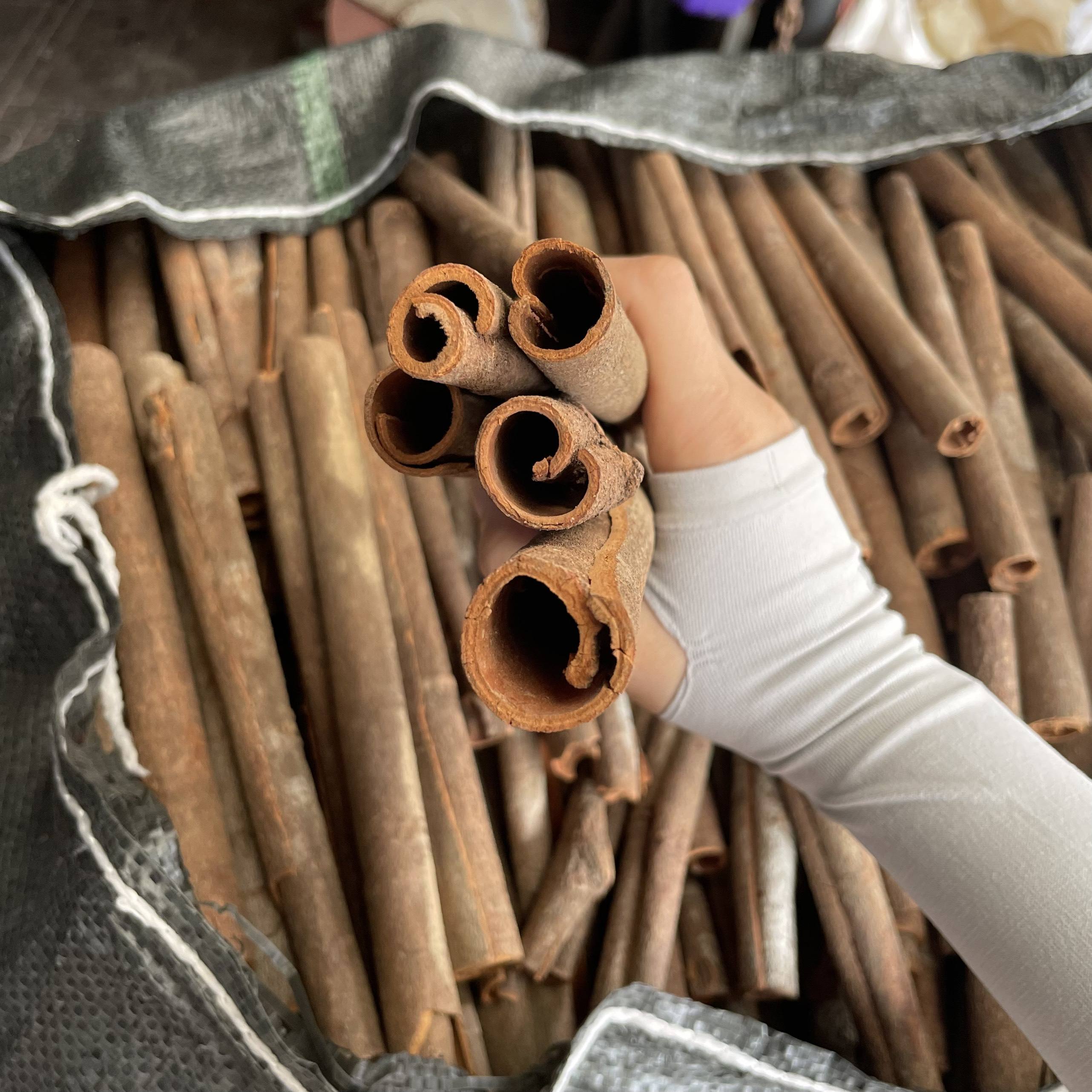 PREMIUM VIETNAMESE CASSIA VERA CINNAMON STICKS FOR EXPORT – DRIED WHOLESALE SPICE FROM VIETNAM