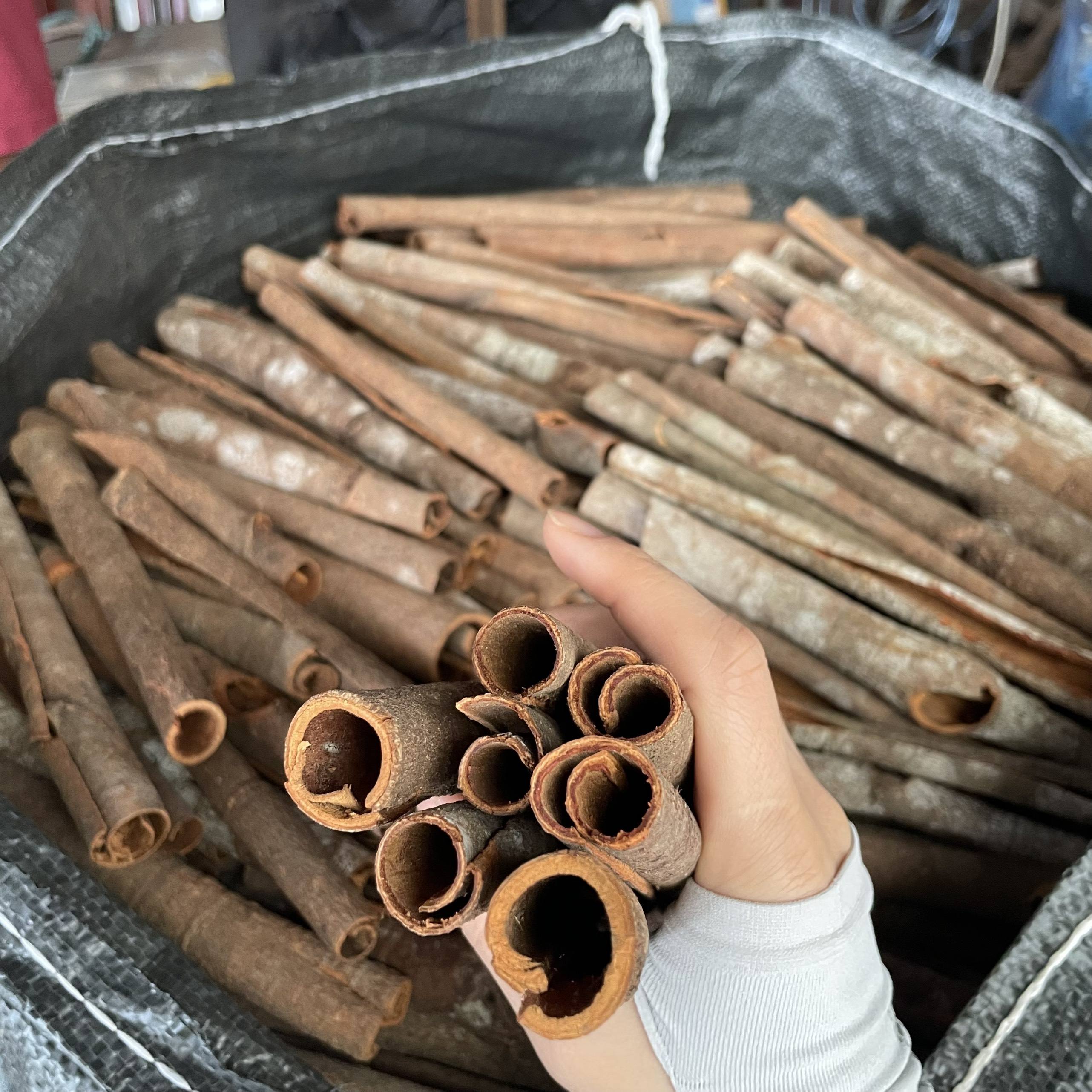 PREMIUM VIETNAMESE CASSIA VERA CINNAMON STICKS FOR EXPORT – DRIED WHOLESALE SPICE FROM VIETNAM 2