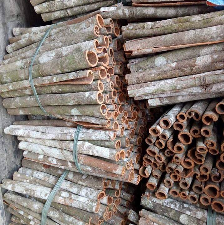 PREMIUM VIETNAMESE CASSIA VERA CINNAMON STICKS FOR EXPORT – DRIED WHOLESALE SPICE FROM VIETNAM 3