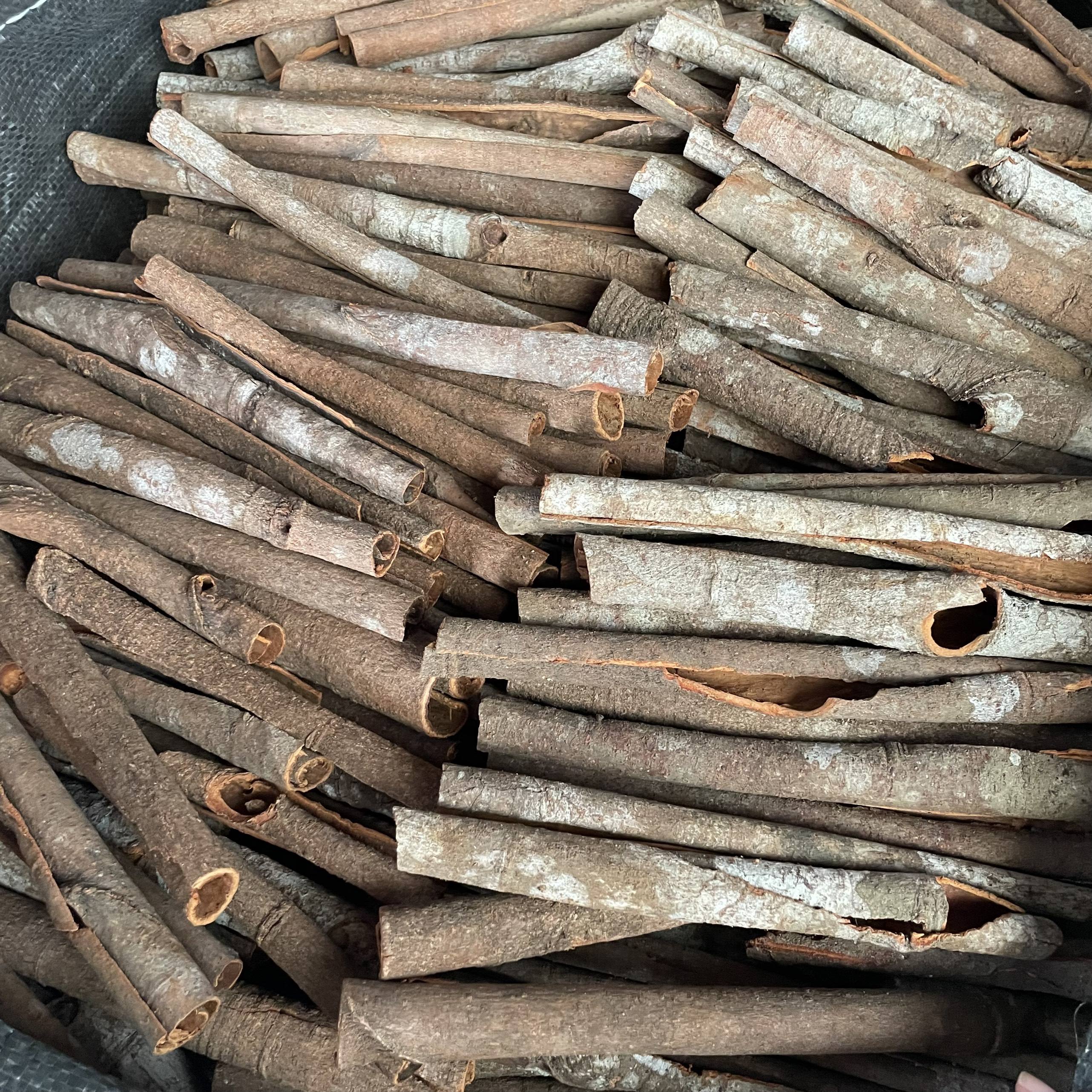 PREMIUM VIETNAMESE CASSIA VERA CINNAMON STICKS FOR EXPORT – DRIED WHOLESALE SPICE FROM VIETNAM 4