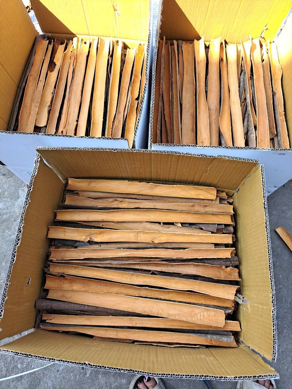 VIETNAMESE DRIED WHOLE CINNAMON STICKS – ROLLED CINNAMON QUILLS FOR EXPORT 3