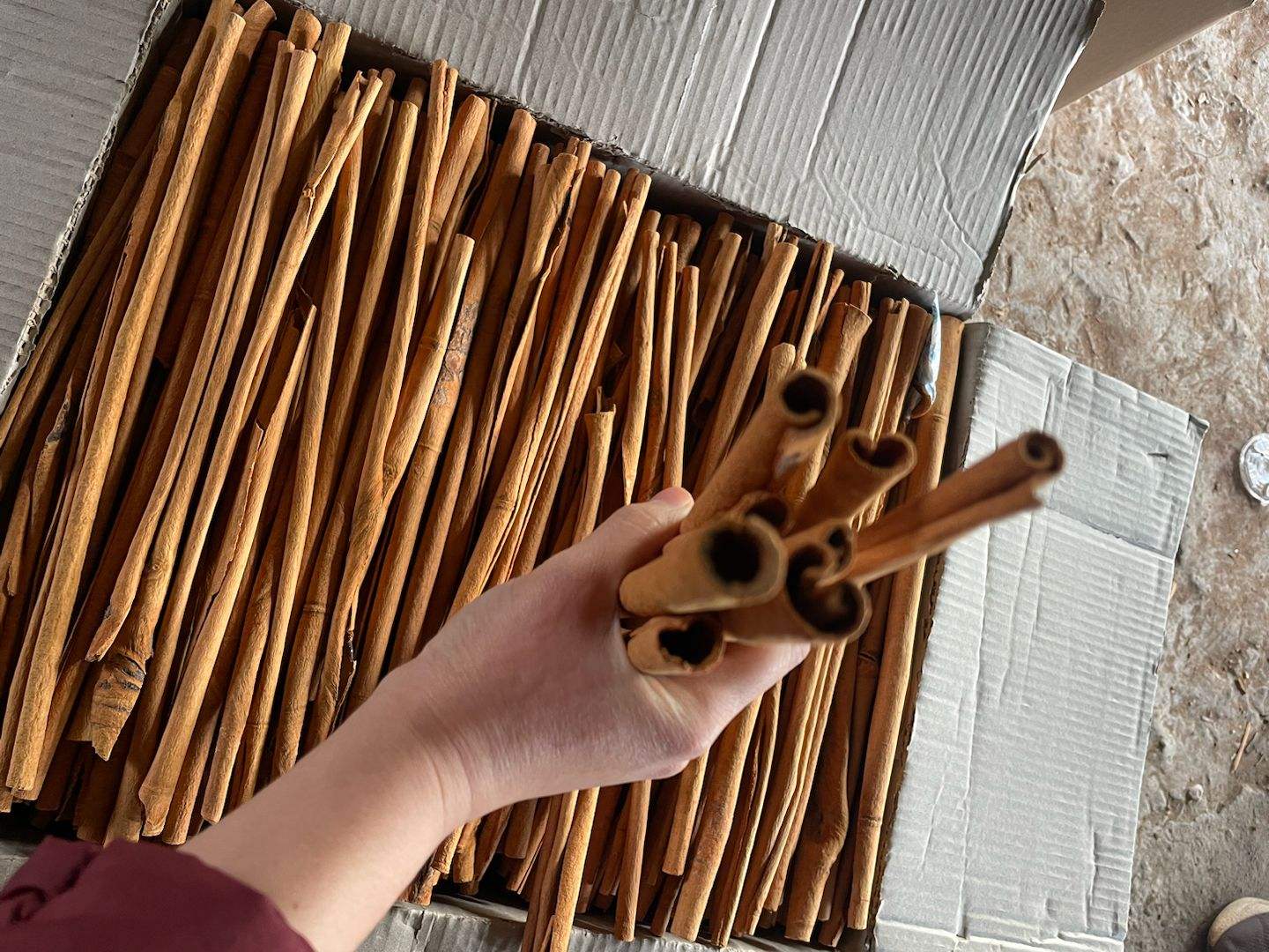 PREMIUM VIETNAMESE DRIED CASSIA CINNAMON QUILLS FOR EXPORT – WHOLE ROLLED SPICE STICKS WHOLESALE 3