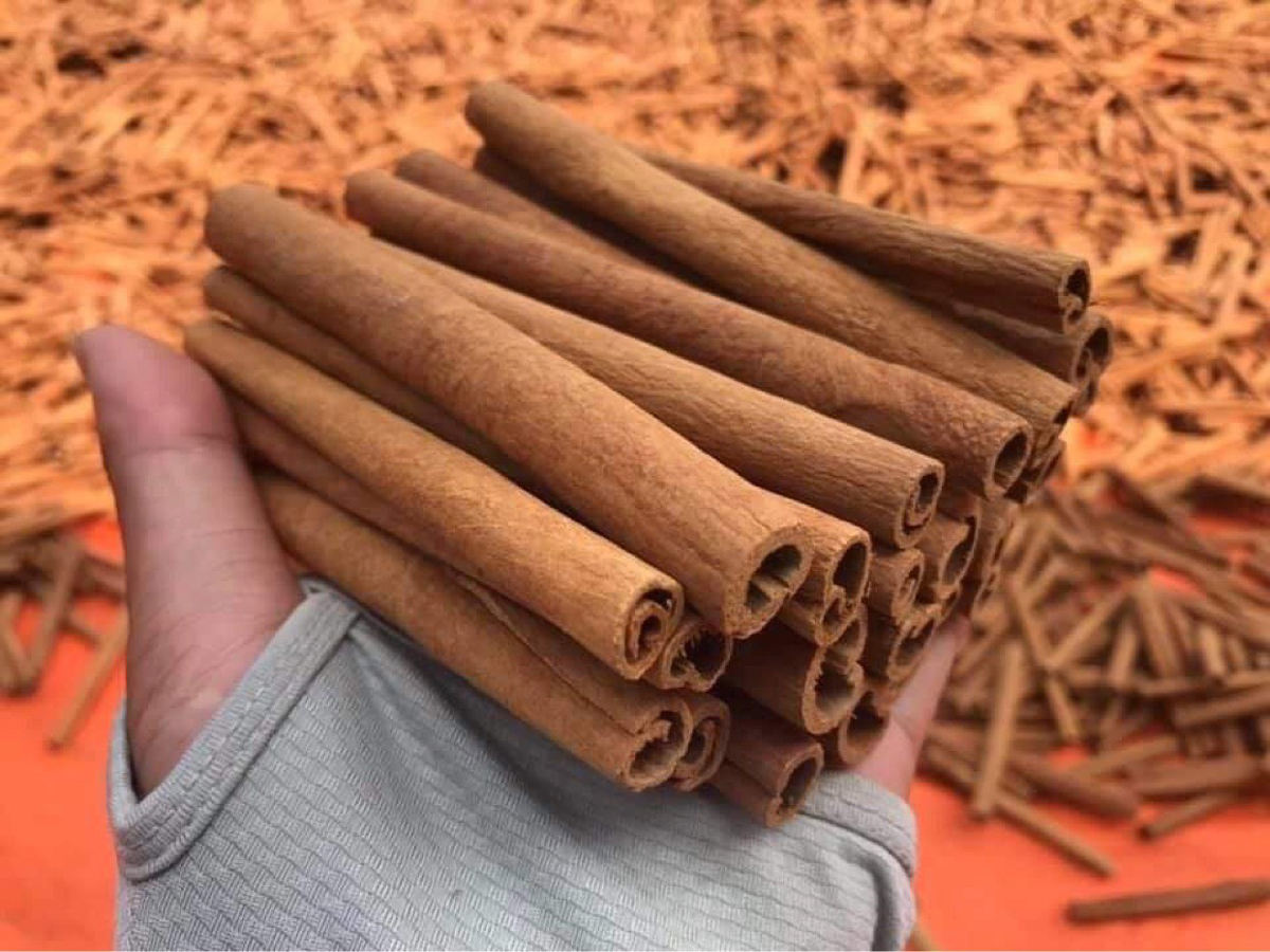 PREMIUM VIETNAMESE DRIED CASSIA CINNAMON QUILLS FOR EXPORT – WHOLE ROLLED SPICE STICKS WHOLESALE 4