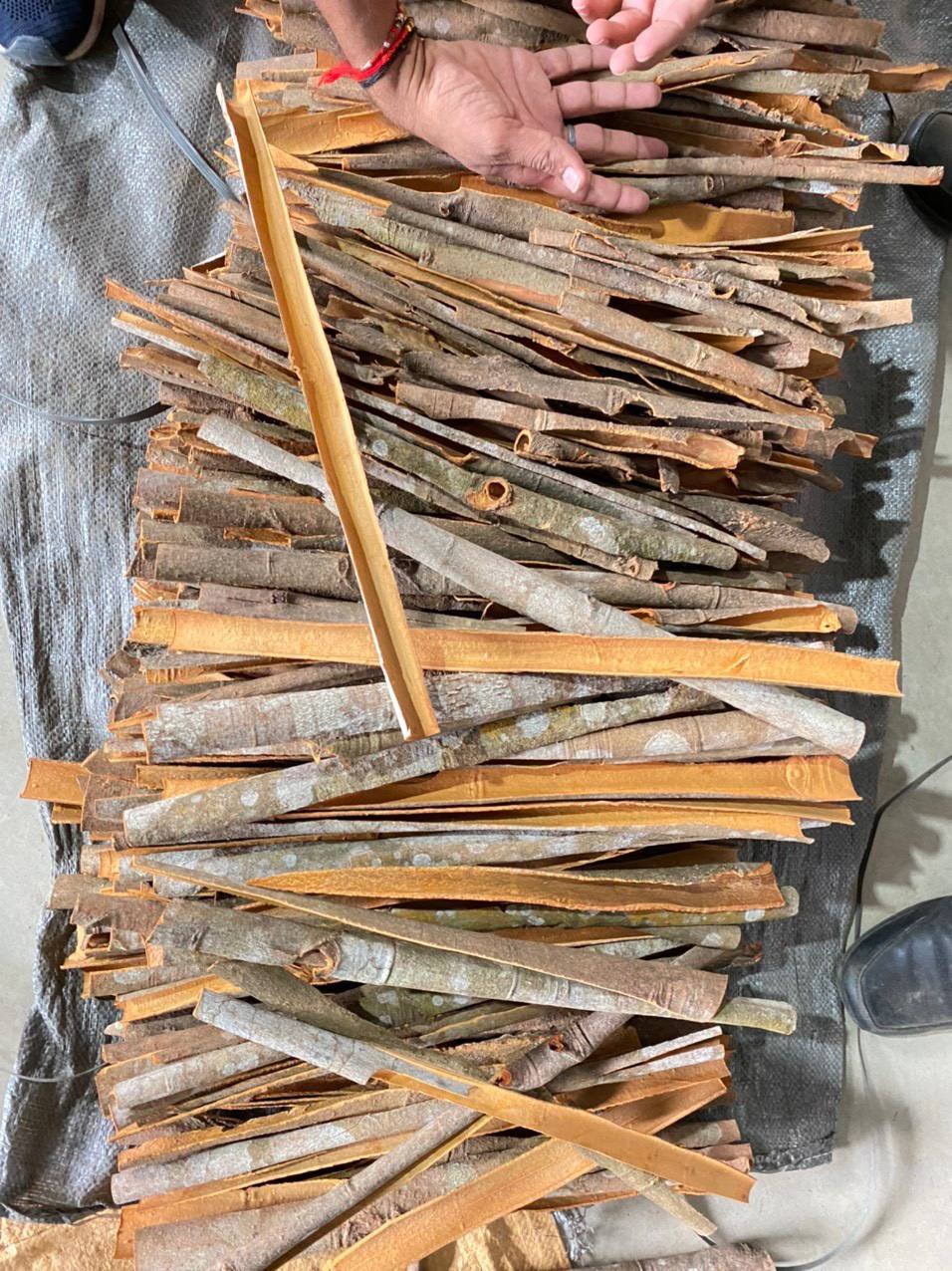PREMIUM VIETNAMESE DRIED CASSIA CINNAMON FOR EXPORT – WHOLE CINNAMON STICKS AND BULK SPICE SUPPLY 2