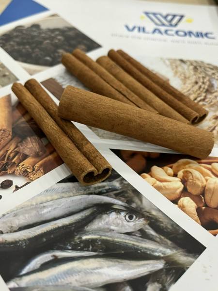PREMIUM VIETNAMESE DRIED CASSIA CINNAMON FOR EXPORT – WHOLE CINNAMON STICKS AND BULK SPICE SUPPLY 4