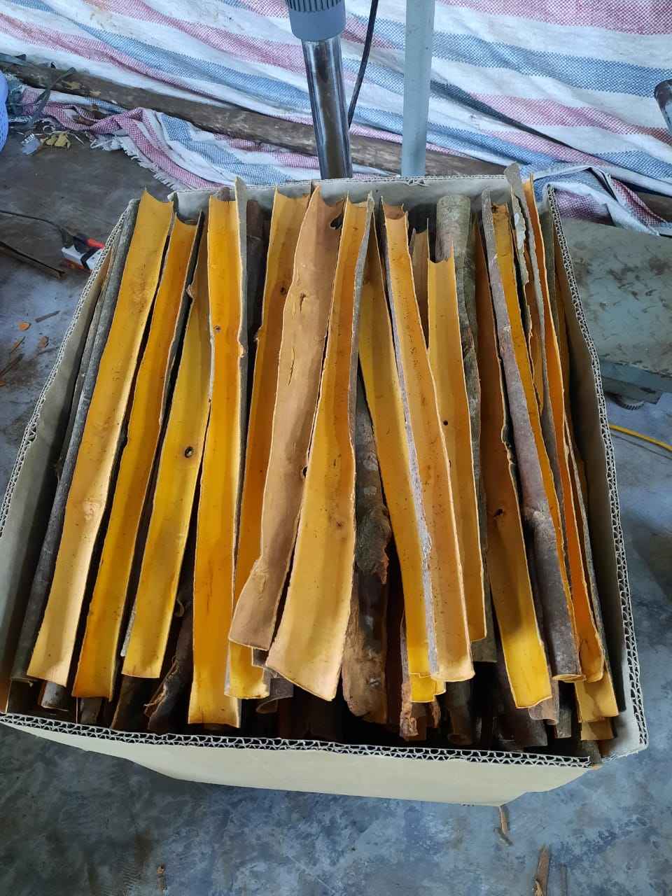 PREMIUM VIETNAMESE DRIED CASSIA CINNAMON STICKS FOR EXPORT – WHOLE SPICY CINNAMON BARK FOR FOOD PROCESSING 3