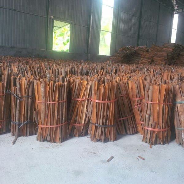 VIETNAMESE CASSIA CINNAMON STICKS FOR EXPORT – 6CM AND 8CM DRIED BARK, HIGH-GRADE RAW SPICE 2