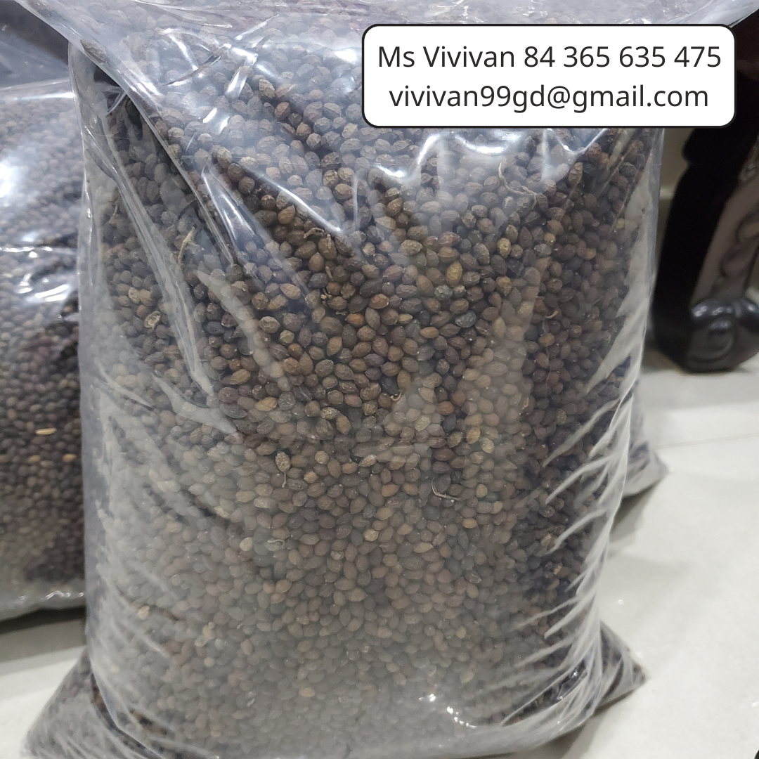 PREMIUM VIETNAMESE DRIED PAPAYA SEEDS FOR EXPORT – BULK WHOLESALE SUPPLY FROM VIETNAM 2