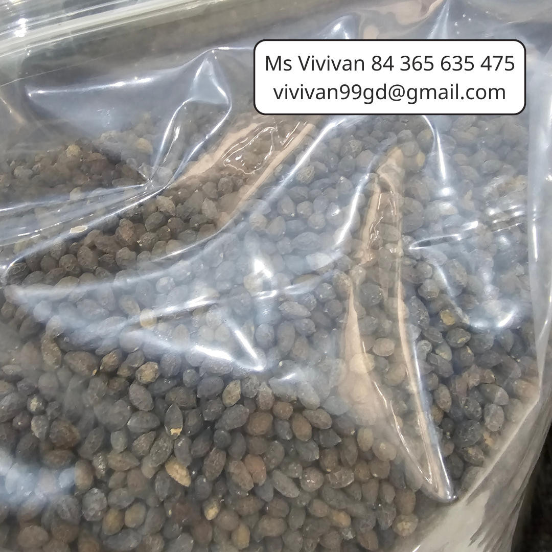 PREMIUM VIETNAMESE DRIED PAPAYA SEEDS FOR EXPORT – BULK WHOLESALE SUPPLY FROM VIETNAM 4