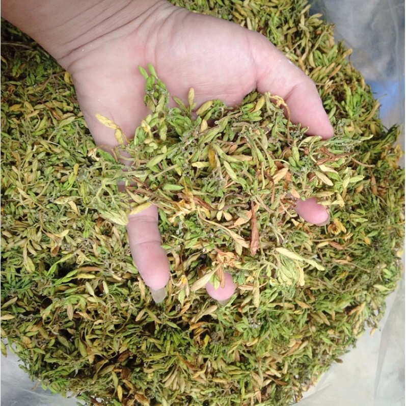 VIETNAMESE DRIED PAPAYA FLOWERS FOR EXPORT – QUALITY HERBAL RAW MATERIAL AT COMPETITIVE WHOLESALE PRICES 3