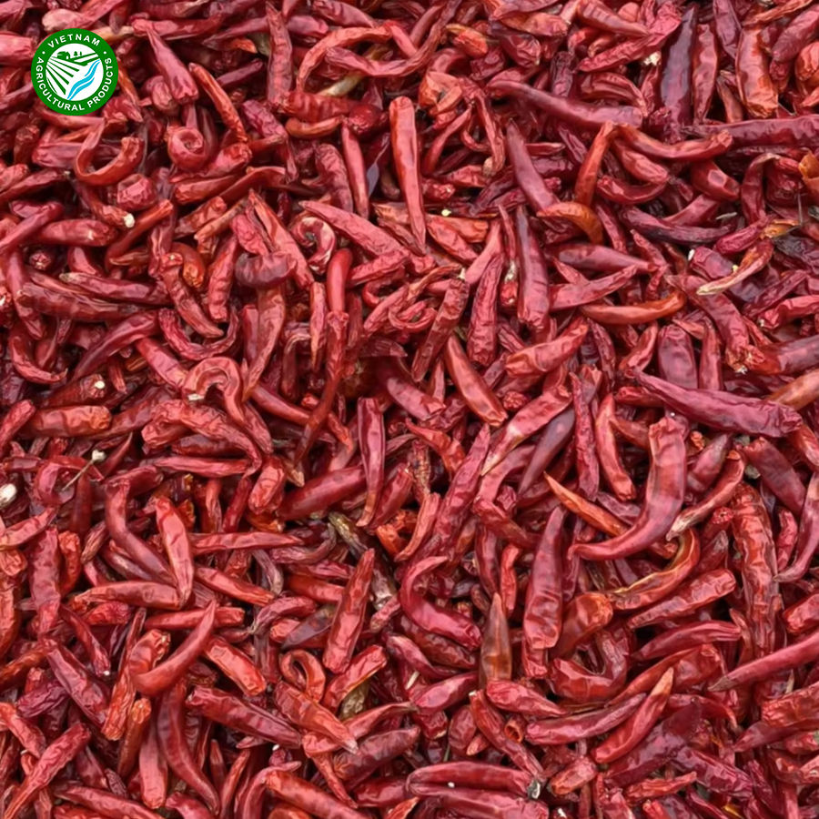 PREMIUM VIETNAMESE RED CHILI POWDER FOR EXPORT – 100% PURE DRIED HOT RED CHILI, NO ADDED PRESERVATIVES