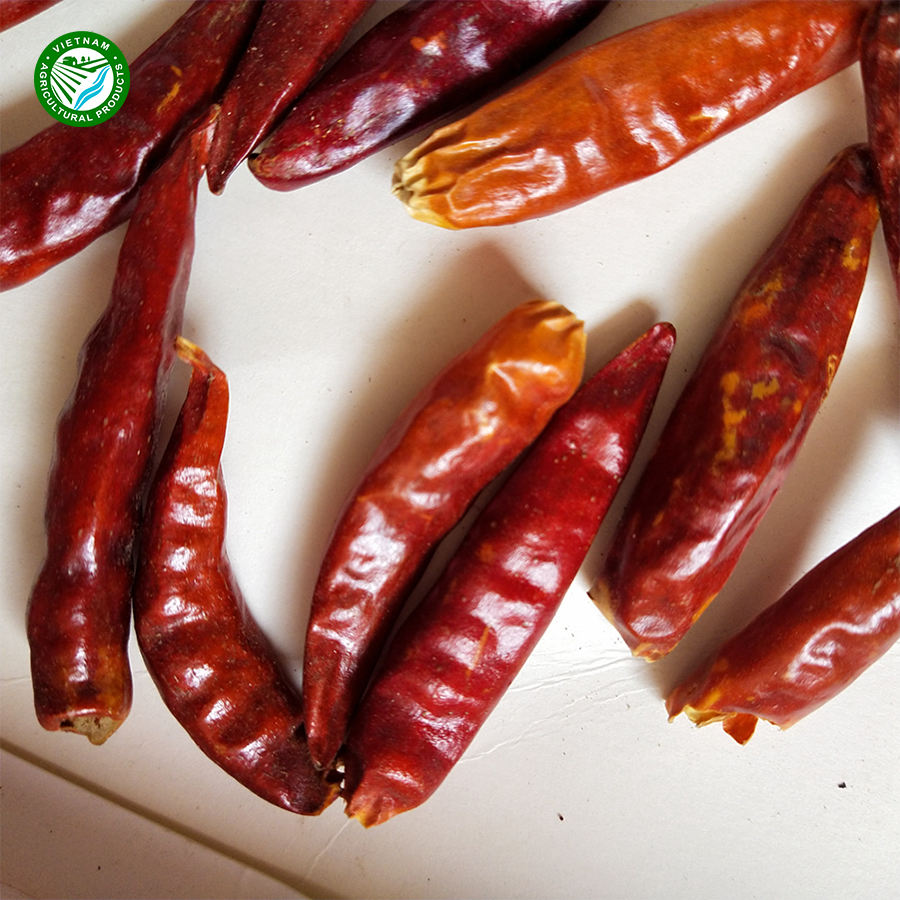 PREMIUM VIETNAMESE RED CHILI POWDER FOR EXPORT – 100% PURE DRIED HOT RED CHILI, NO ADDED PRESERVATIVES 2