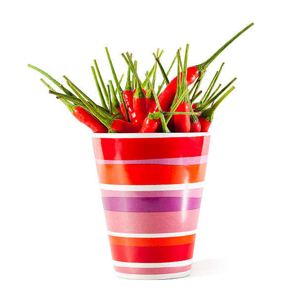 PREMIUM VIETNAMESE FRESH BIRD’S EYE CHILI FOR EXPORT – CLEANED, SORTED, STEMLESS AND EXTRA HOT 2