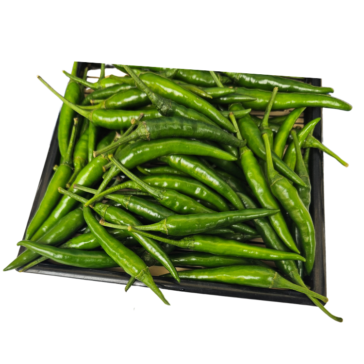 VIETNAMESE FRESH RED CHILI FOR EXPORT – DIRECT MANUFACTURER, CUSTOM PACKAGING AND WHOLESALE PRICES