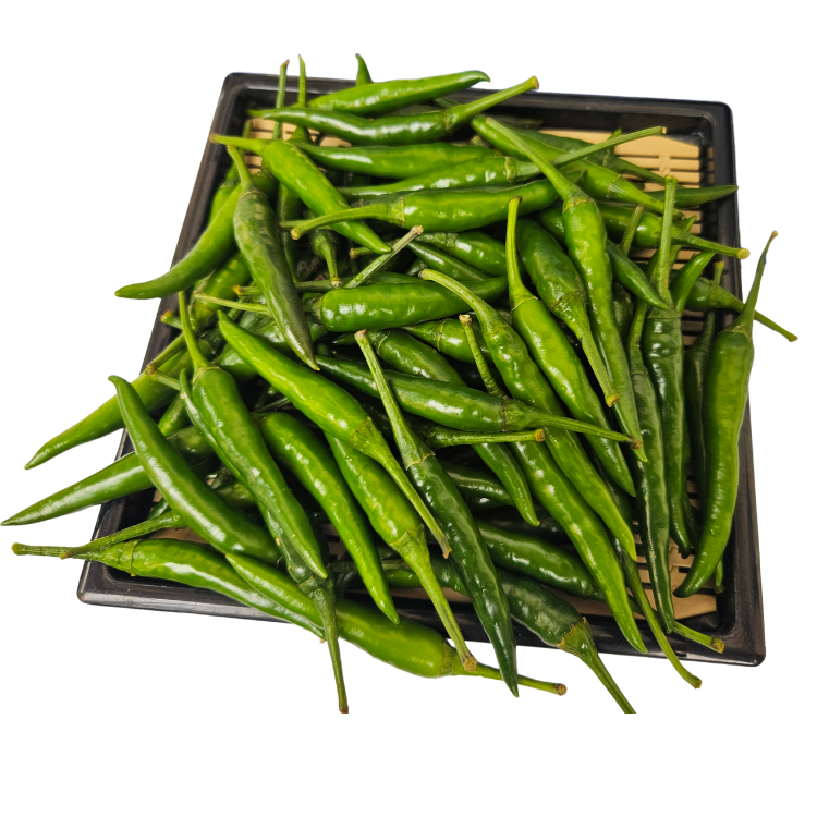VIETNAMESE FRESH RED CHILI FOR EXPORT – DIRECT MANUFACTURER, CUSTOM PACKAGING AND WHOLESALE PRICES 4