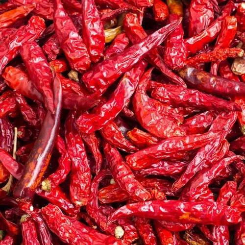 VIETNAMESE DRIED RED CHILI FOR EXPORT – STRONG HEAT, WHOLE CHILI SPICE AND FOOD PROCESSING INGREDIENT