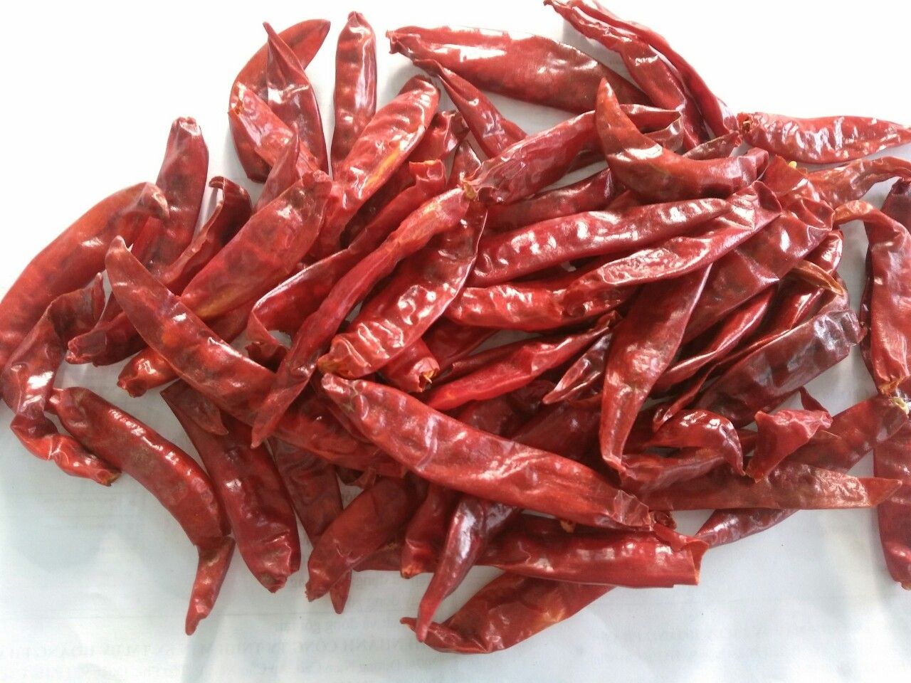 VIETNAMESE DRIED RED CHILI FOR EXPORT – STRONG HEAT, WHOLE CHILI SPICE AND FOOD PROCESSING INGREDIENT 3