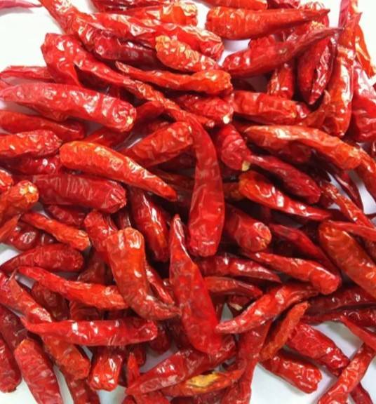 VIETNAMESE DRIED RED CHILI FOR EXPORT – STRONG HEAT, WHOLE CHILI SPICE AND FOOD PROCESSING INGREDIENT 4