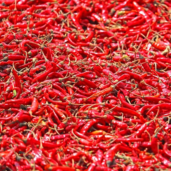 PURE VIETNAMESE DRIED RED CHILI FOR EXPORT – NATURAL HOT SPICE FOR SEASONING, DIPPING SAUCES AND FOOD PROCESSING