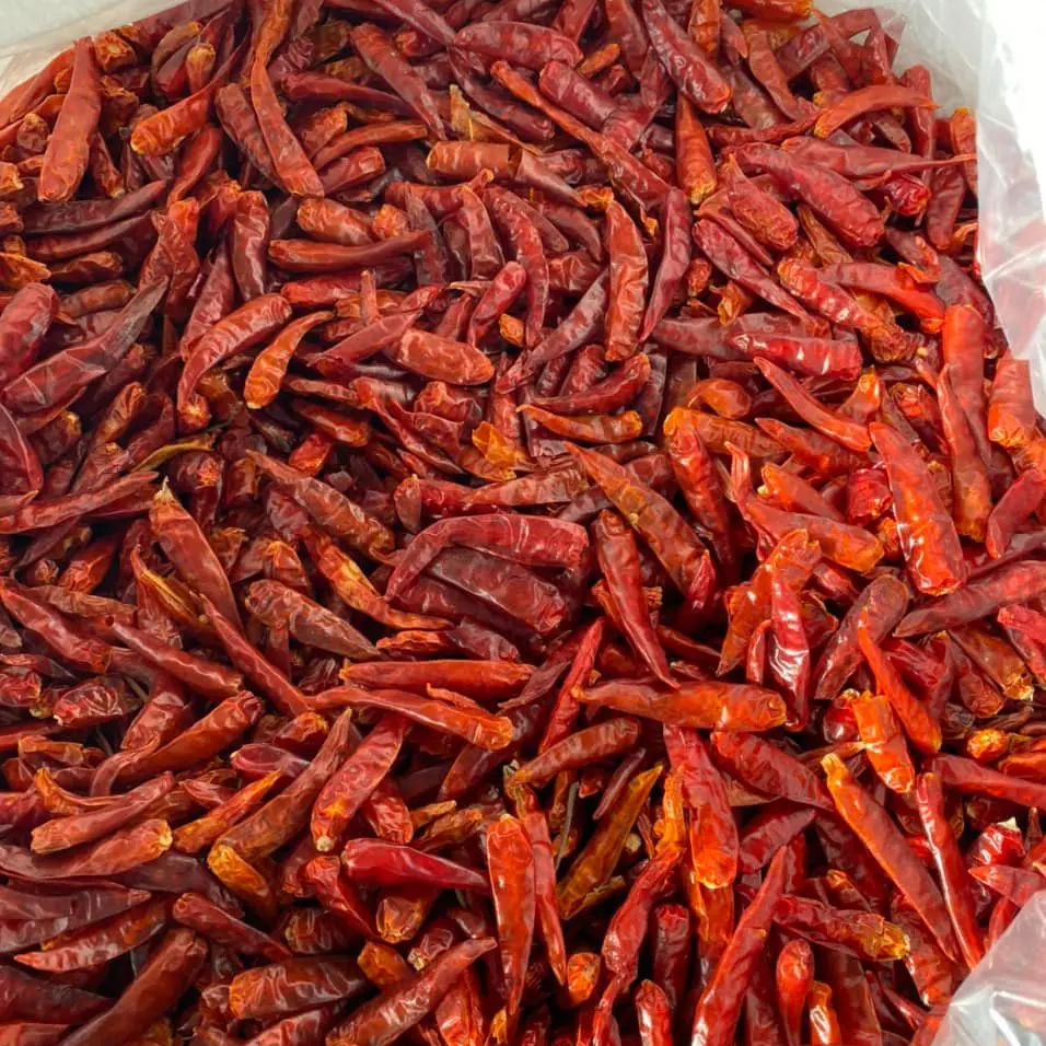 VIETNAMESE DRIED HOT RED CHILI FOR EXPORT – WHOLESALE PRICES AND BULK SUPPLY
