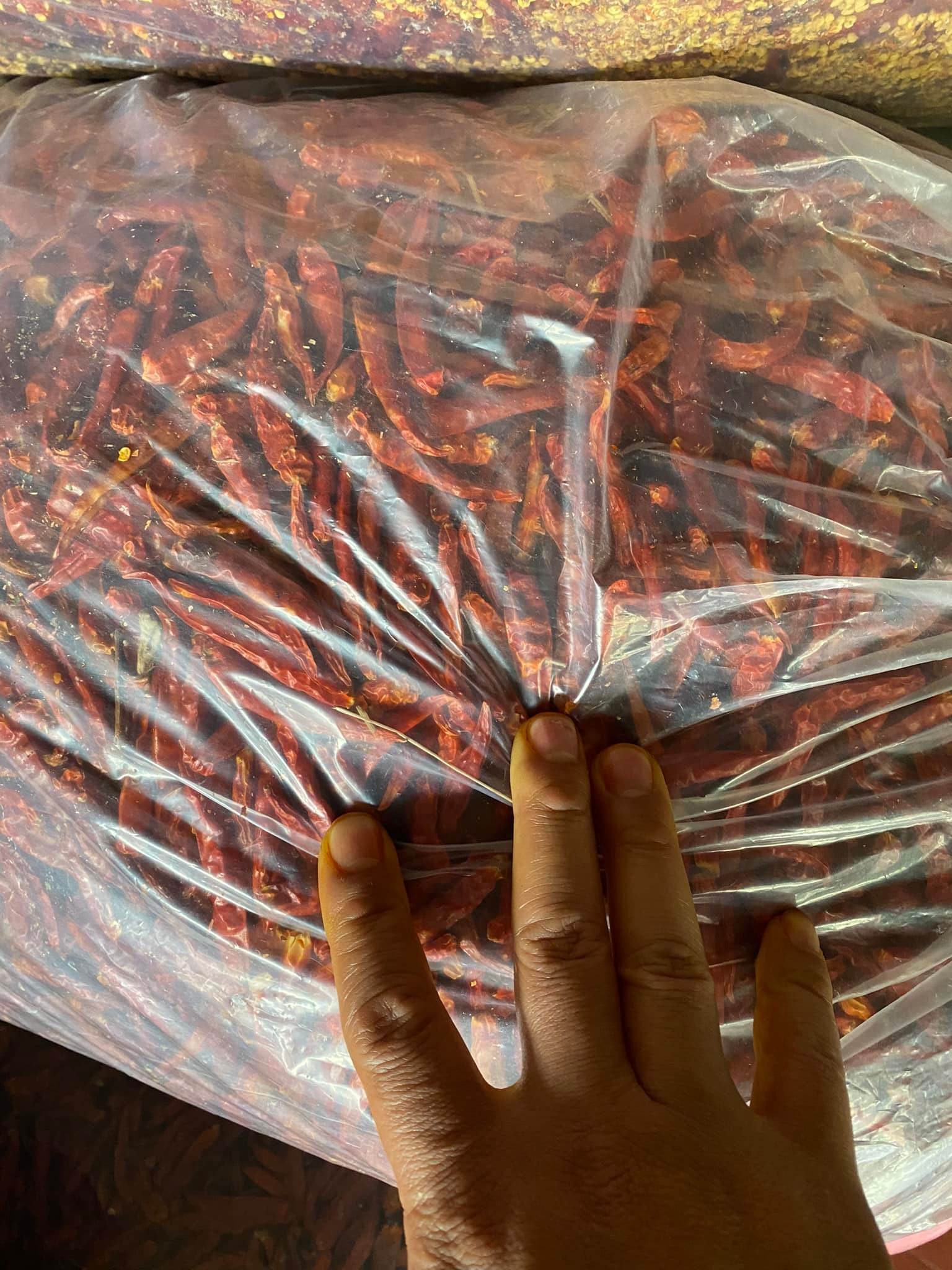 VIETNAMESE DRIED HOT RED CHILI FOR EXPORT – WHOLESALE PRICES AND BULK SUPPLY 3