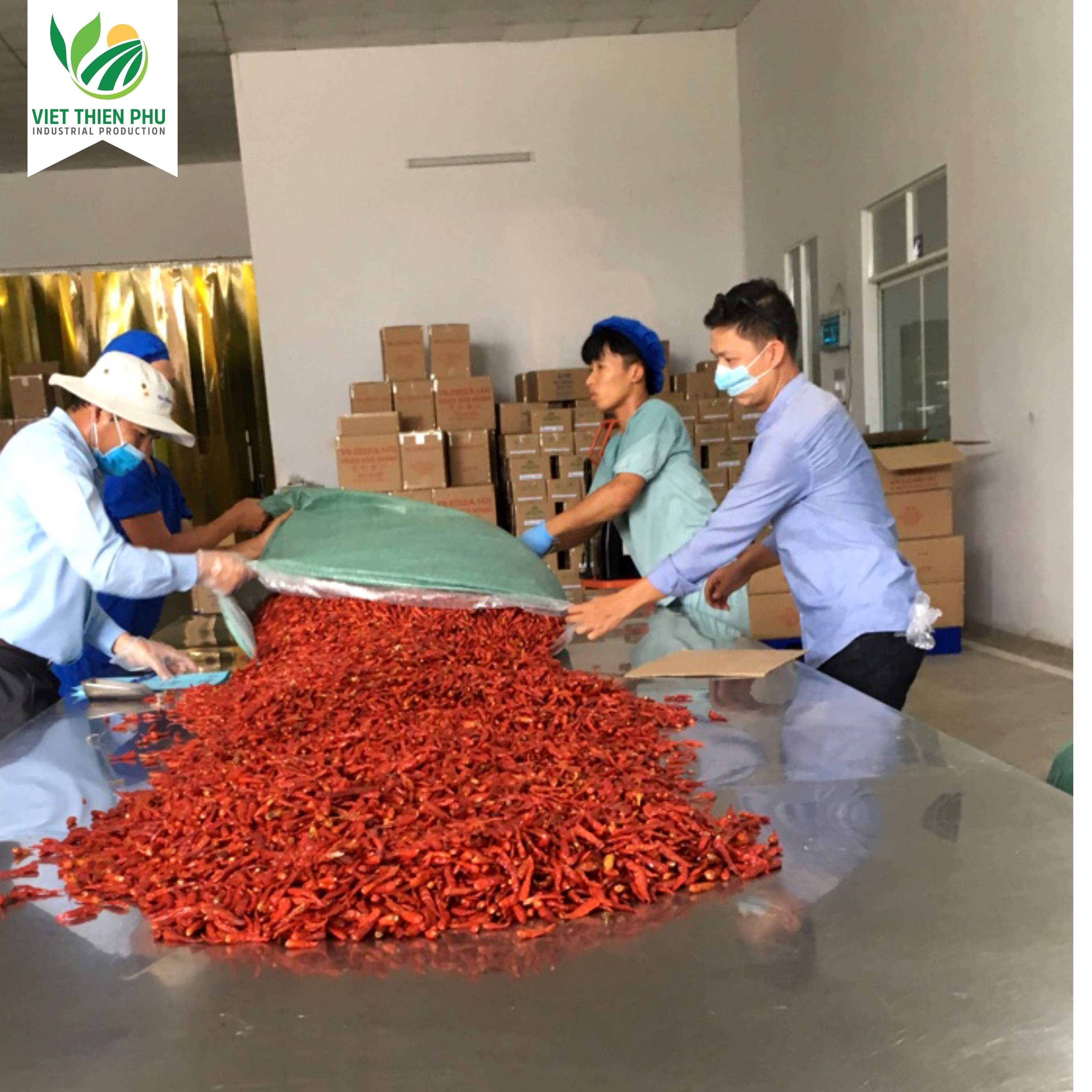 HIGH-QUALITY VIETNAMESE DRIED RED CHILI FOR EXPORT – SINGLE SPICE INGREDIENT WITH 24-MONTH SHELF LIFE 2